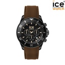 ICE WATCH 020625