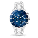 ICE WATCH 020624