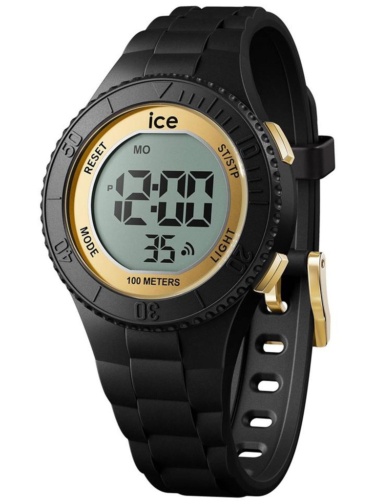 ICE WATCH 021607