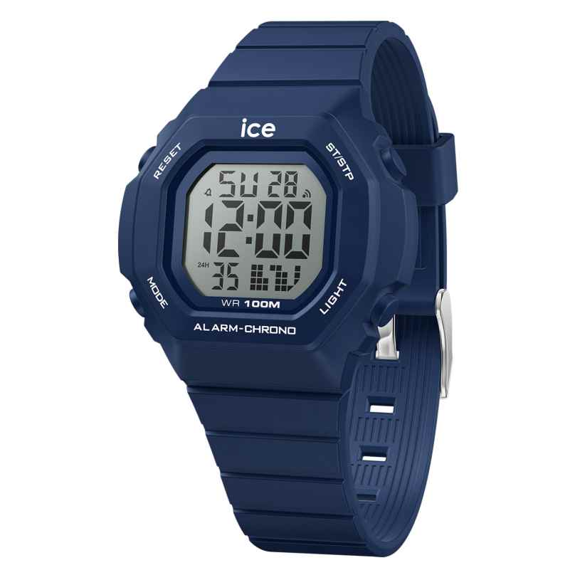 ICE WATCH 022095