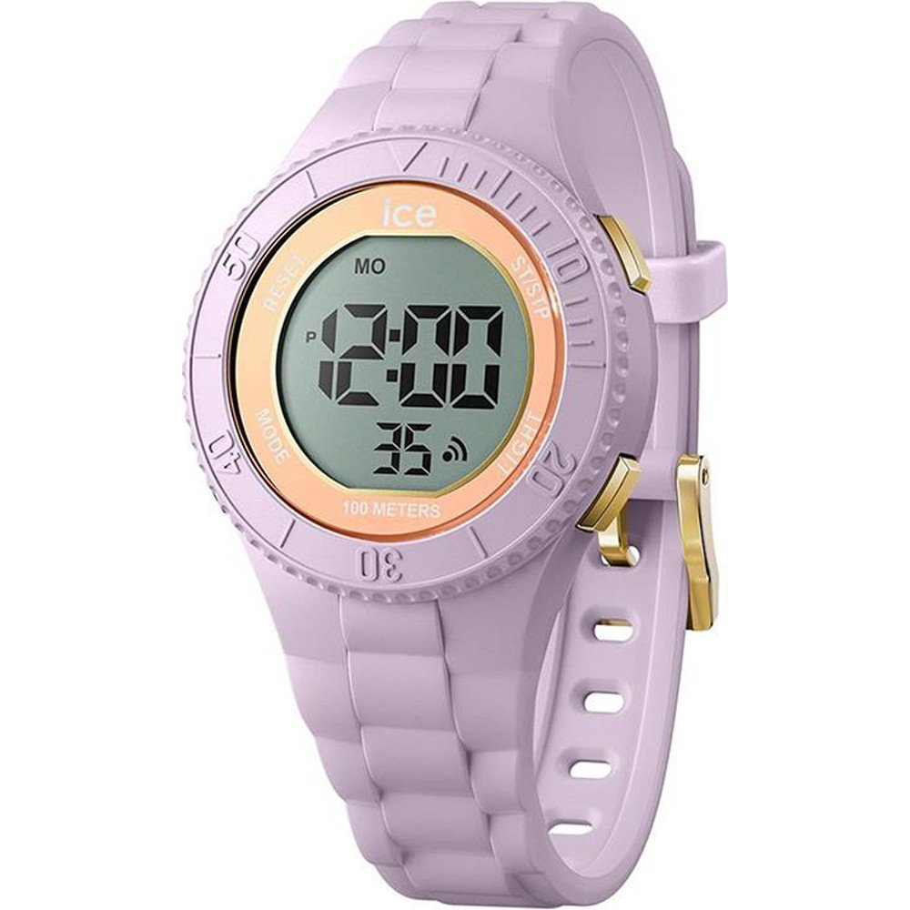 ICE WATCH 021612