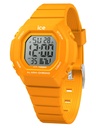 ICE WATCH 022102