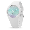 ICE WATCH 021357