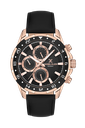 DANIEL KLEIN DK.1.13641.2