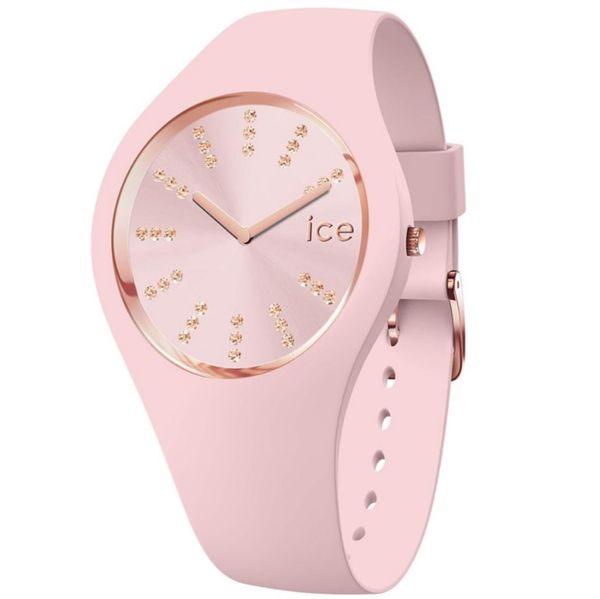 ICE WATCH 021592