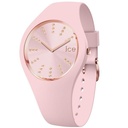 ICE WATCH 021592