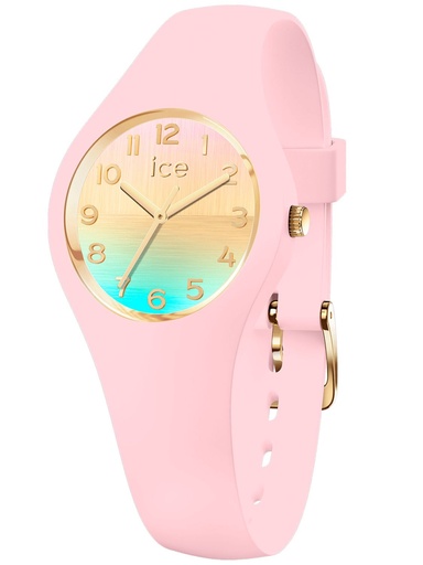 ICE WATCH 021432