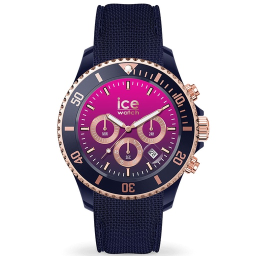 ICE WATCH 021642