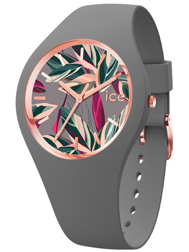 ICE WATCH 020515
