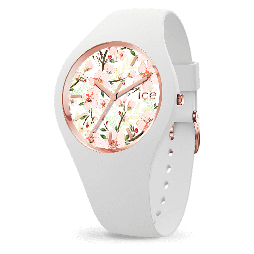 ICE WATCH 020516