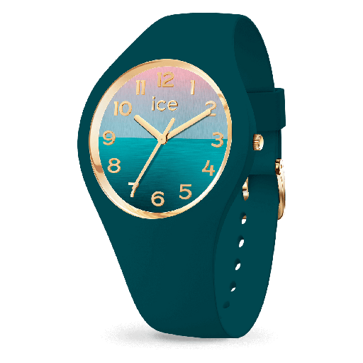 ICE WATCH 021354