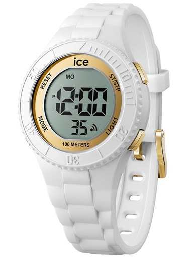ICE WATCH 021606