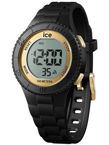 ICE WATCH 021607