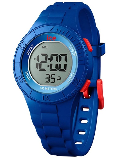 ICE WATCH 021611