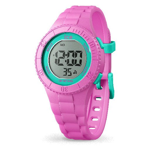 ICE WATCH 021275