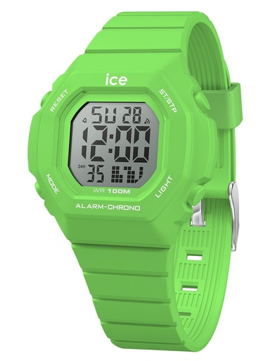 ICE WATCH 022097