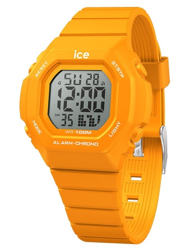 ICE WATCH 022102