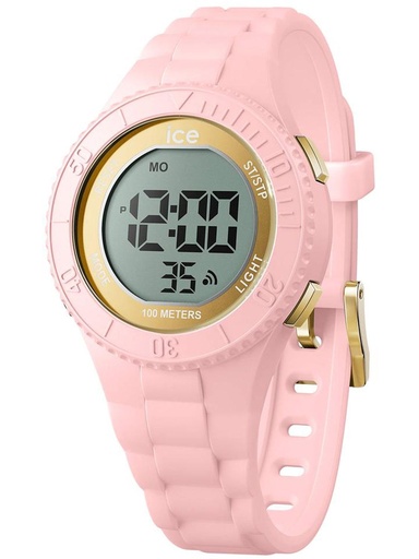 ICE WATCH 021608