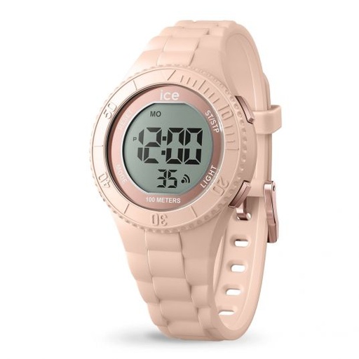 ICE WATCH 021609