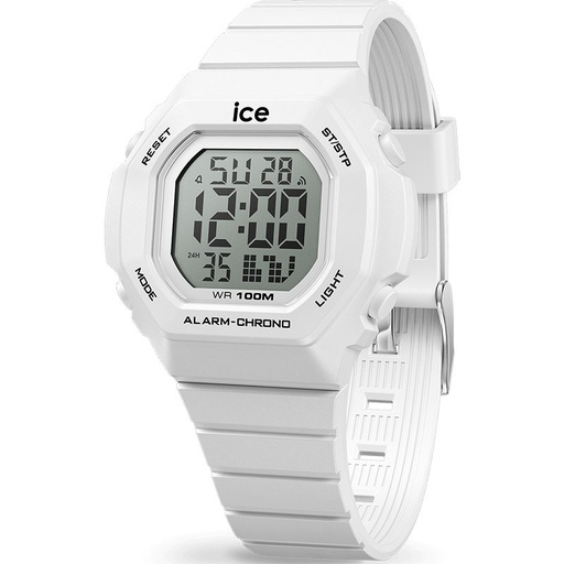 ICE WATCH 022093