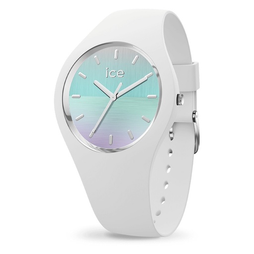 ICE WATCH 021357