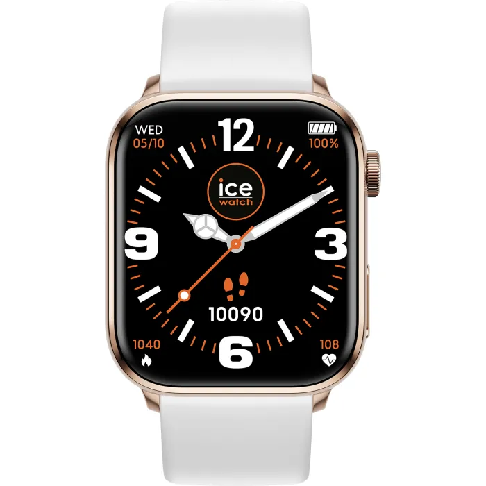 ICE WATCH 022537