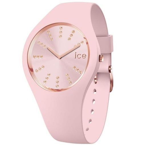 ICE WATCH 021592