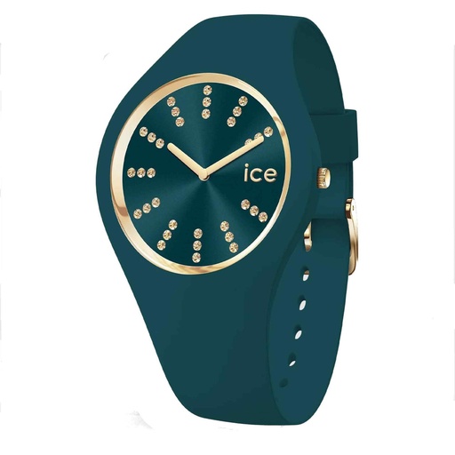 ICE WATCH 021593