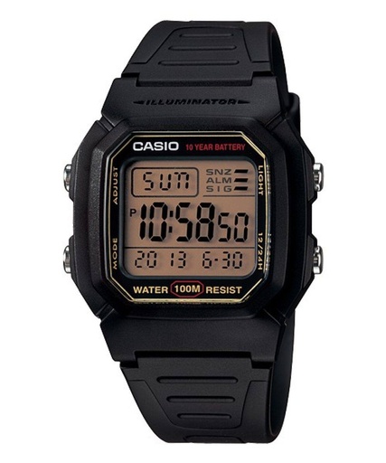 CASIO STANDARD W-800HG-9A